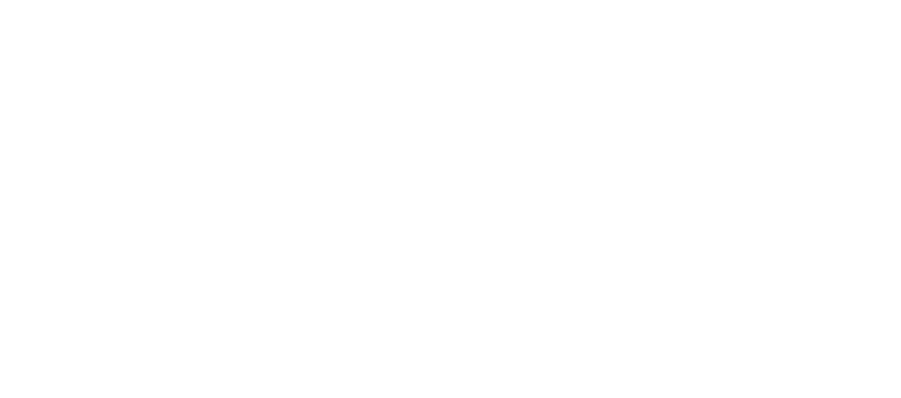 logo espace mistral